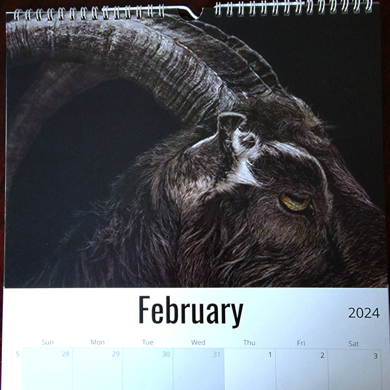 Calendar, Horror, RETAILONLY, gothic home decor, gothic decor, goth decor, 2024 CALENDAR - A YEAR IN HORROR, darkothica