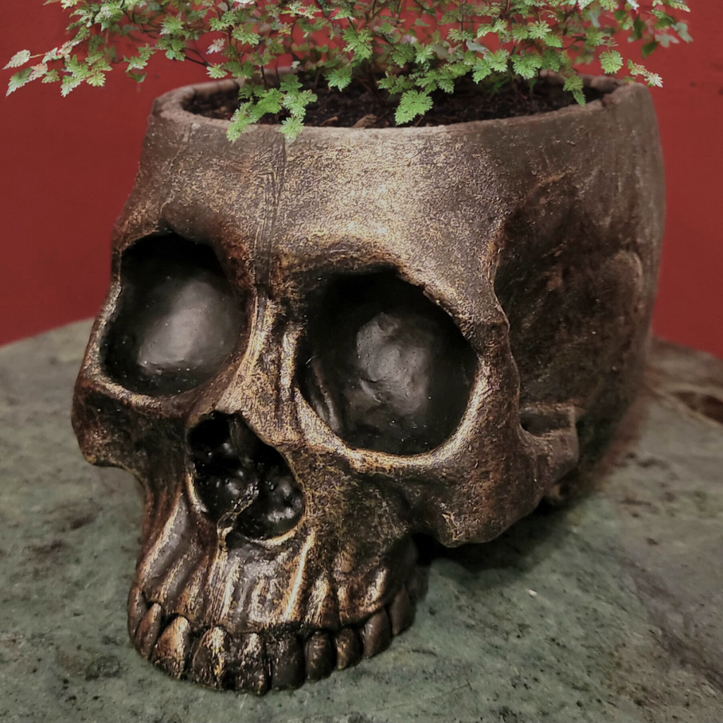 Tabletop & Statuary, RETAILONLY, Skulls/Skeletons, gothic home decor, gothic decor, goth decor, Skull Planter, darkothica