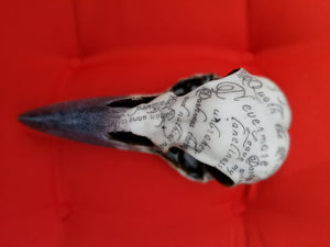 Tabletop & Statuary, RETAILONLY, Skulls/Skeletons, gothic home decor, gothic decor, goth decor, Poe Raven Skull, darkothica
