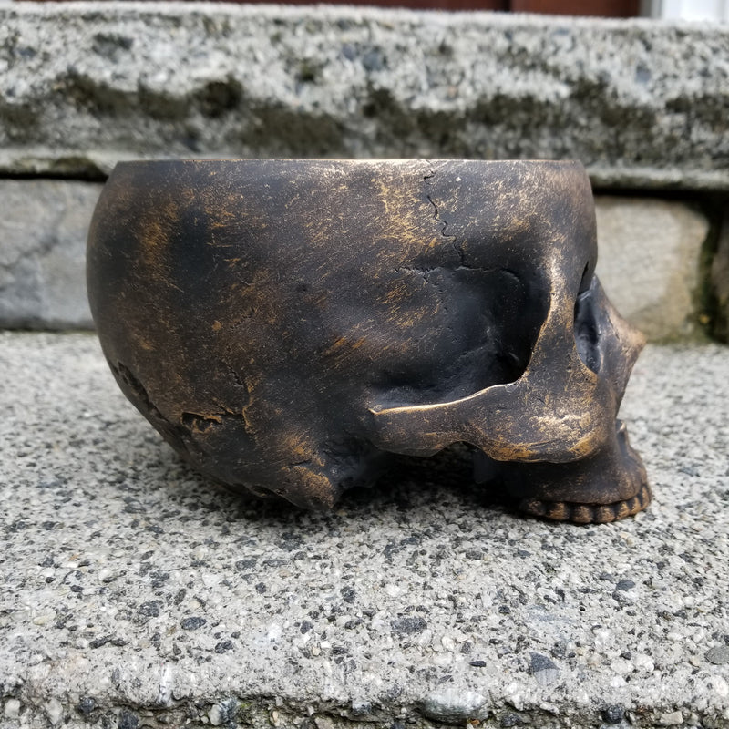 gothic home decor - gothic decor -  Half Skull Bowl - High Quality Tabletop & Statuary from DARKOTHICA® Shop now at DARKOTHICA®Halloween, RETAILONLY, Skulls/Skeletons
