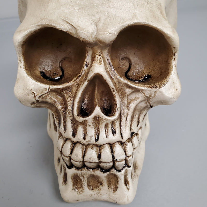 gothic home decor, gothic decor, goth decor, Skull Toilet Brush Holder, darkothica