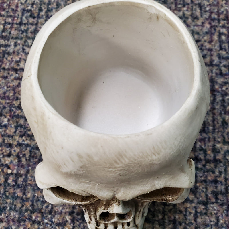 gothic home decor, gothic decor, goth decor, Skull Toilet Brush Holder, darkothica