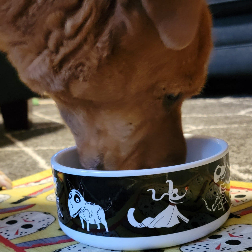 Pet Supplies, Barkothica, dogs, gothic home decor, gothic decor, goth decor, Spooky Pups Dog Bowl, darkothica