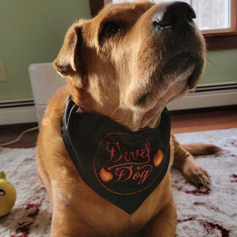 gothic home decor, gothic decor, goth decor, Devil Dog Bandana Collar, darkothica