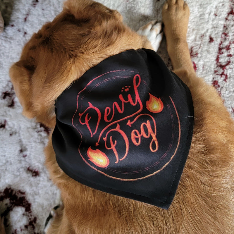 gothic home decor, gothic decor, goth decor, Devil Dog Bandana Collar, darkothica