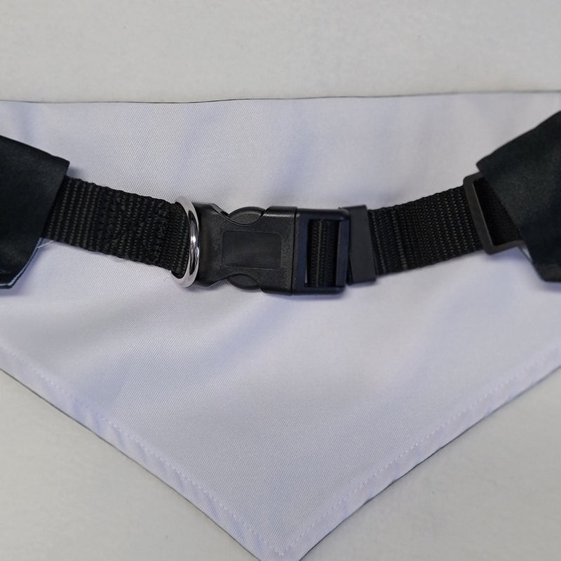 gothic home decor, gothic decor, goth decor, Devil Dog Bandana Collar, darkothica