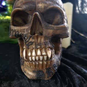 gothic home decor - gothic decor -  PRE-ORDER - Dracula Skull - High Quality Tabletop & Statuary from DARKOTHICA® Shop now at DARKOTHICA®Horror, RETAILONLY, Skulls/Skeletons, Vampires