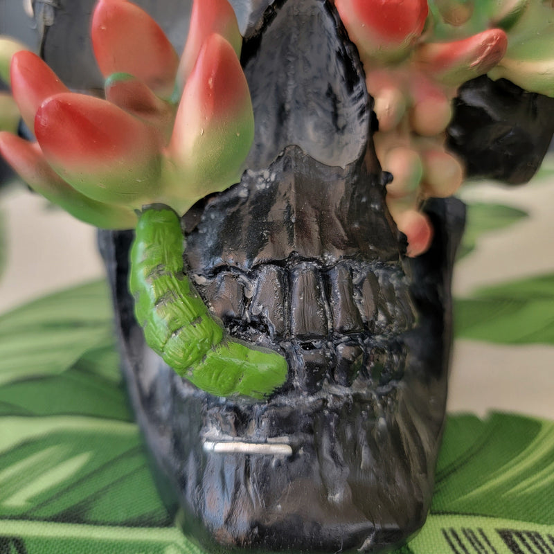 Tabletop & Statuary, RETAILONLY, Skulls/Skeletons, gothic home decor, gothic decor, goth decor, Succulent Skull, darkothica