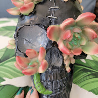 Tabletop & Statuary, RETAILONLY, Skulls/Skeletons, gothic home decor, gothic decor, goth decor, Succulent Skull, darkothica