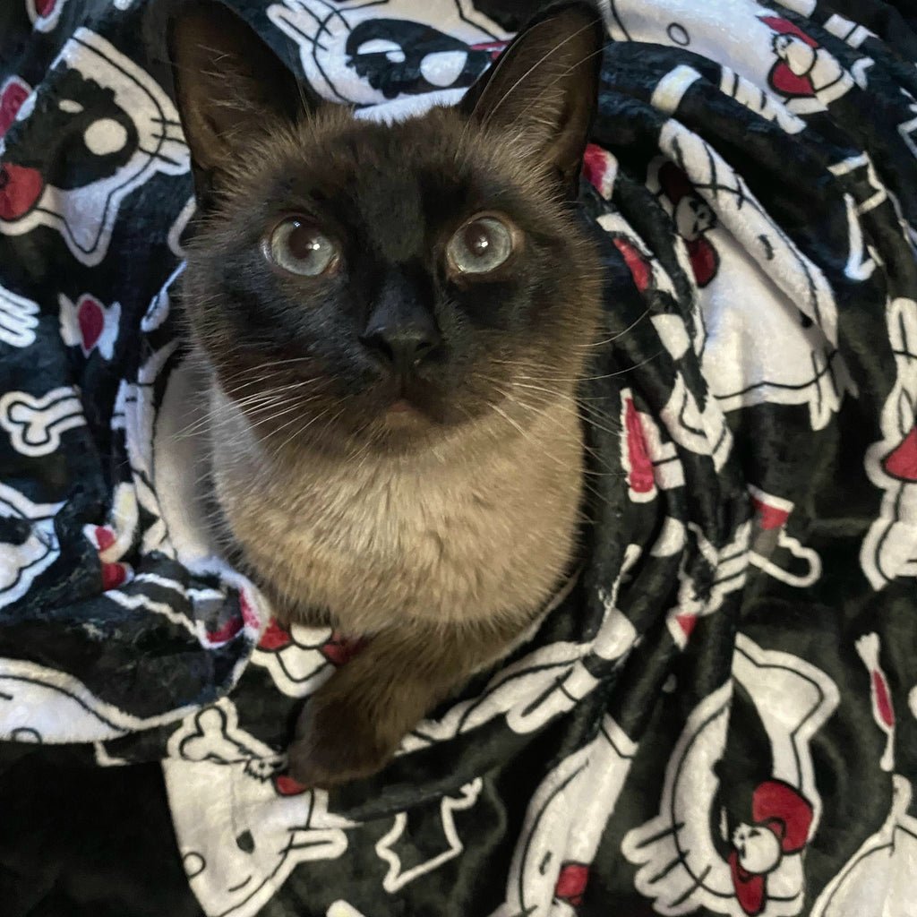 bedding, Barkothica, cats, gothic home decor, gothic decor, goth decor, Hello KILLy Minky Blanket - Black, darkothica