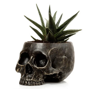 Tabletop & Statuary, RETAILONLY, Skulls/Skeletons, gothic home decor, gothic decor, goth decor, Skull Planter, darkothica