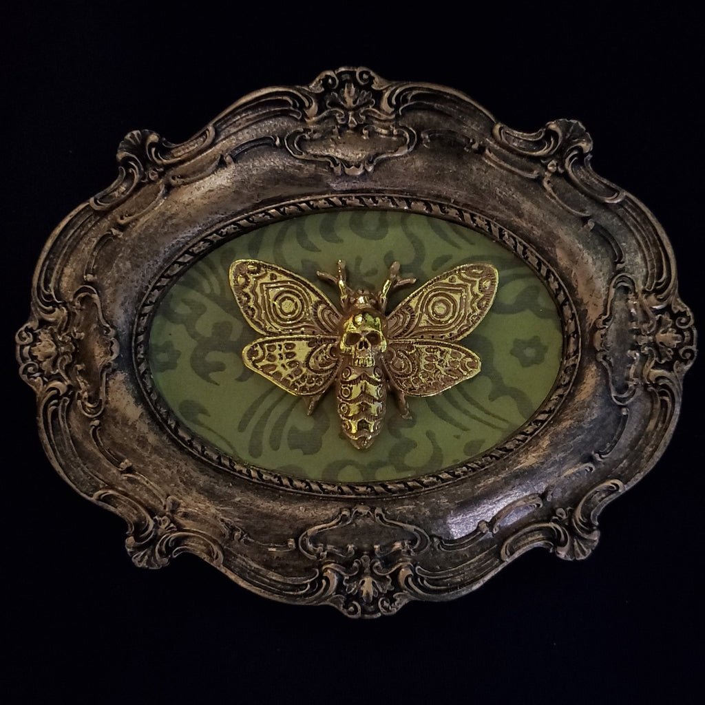 darkothica gothic moth plaque moth wall frame gothic decor moths skulls