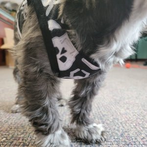 Spooky & Sweet Pet Tank - Purple