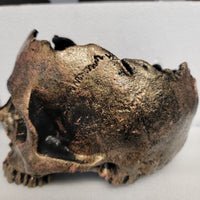 skulls skull home decor skull planter skull decor gothic home decor alternative home decor darkothica dark decor decor gothic gothic alternative skulls