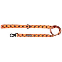 Plaid-tastic Leash