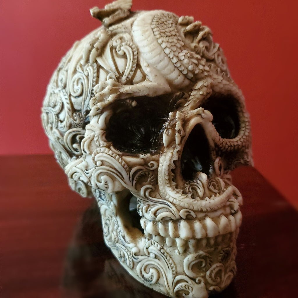 detailed dragon skull