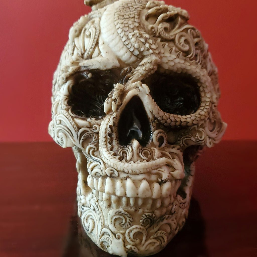 detailed dragon skull