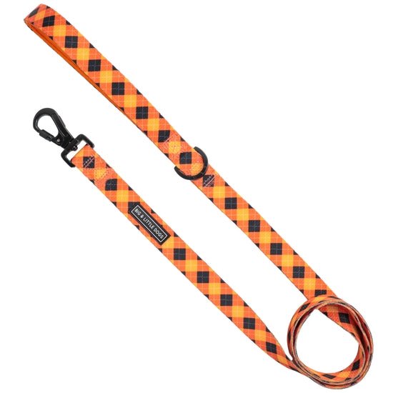 Plaid-tastic Leash