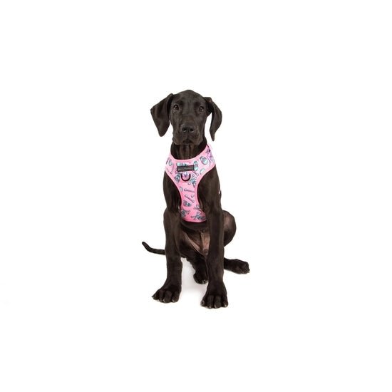 Pink Skull & Bones Dog Harness